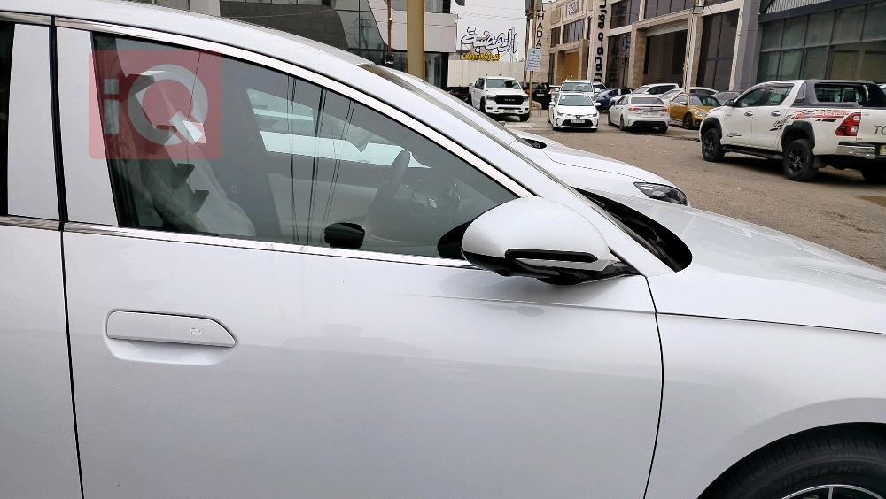 بي واي دي سيل 06 DM-i